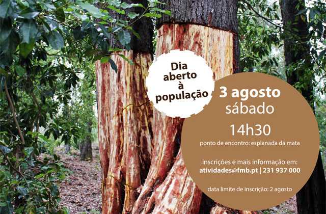 Ver artigo